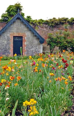 The Old Cottage