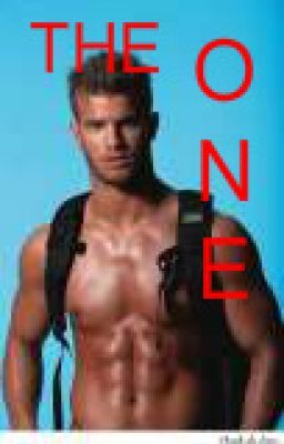 THE ONE (Book 3 of PI series)