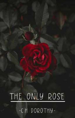 THE ONLY ROSE