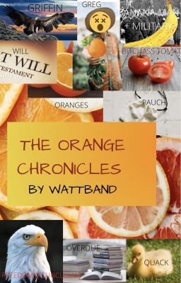 The Orange Chronicles