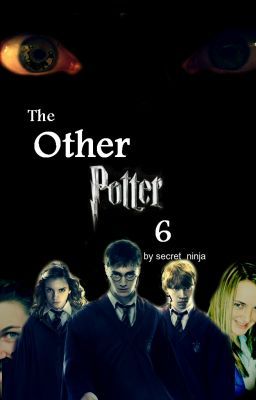 The Other Potter: Book 6