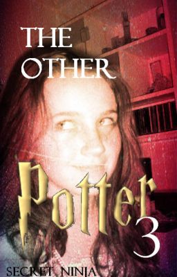 The Other Potter Book Three.