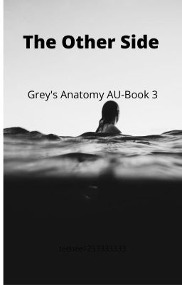 The Other Side-Grey's Anatomy AU-Book 3