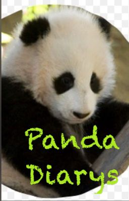 The Panda Diarys *COMPLETED*