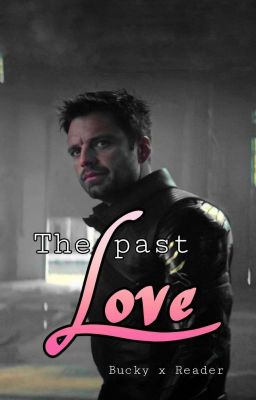 The past Love (BuckyxReader FATWS)