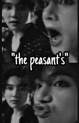 the peasant's ˚✧₊⁎ kooktae