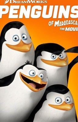 The penguins and boy of Madagascar (penguins of Madagascar x male child reader)