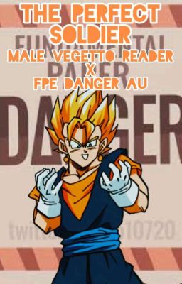 The Perfect Soldier (Male Vegetto Reader x FPE Danger)