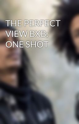 THE PERFECT VIEW BXB: ONE SHOT