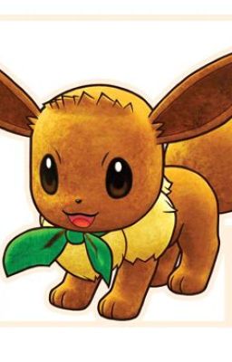 The Point of View of an Eevee