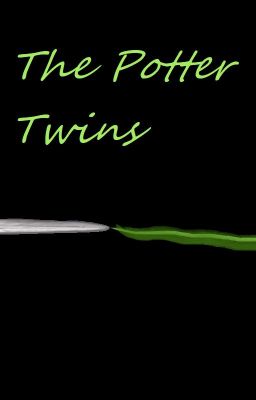 The Potter Twins and the House Divide