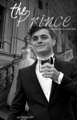 THE PRINCE ~ MARTIN GARRIX fanfiction~