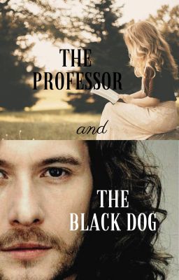 The Professor & The Black Dog || Sirius Black