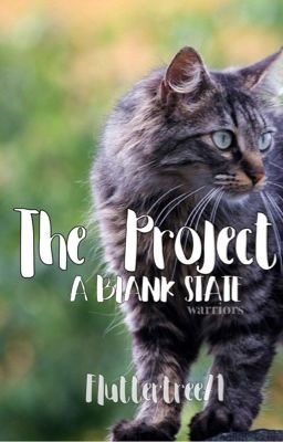 The Project: A Blank State