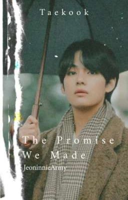 The Promise We Made || Taekook