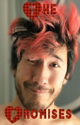 The Promises (markiplier x reader)