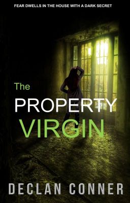 The Property Virgin: And The House with a Dark Secret.