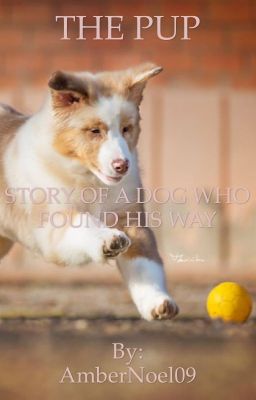 THE PUP: STORY OF A DOG WHO FOUND HIS WAY