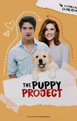 The Puppy Project