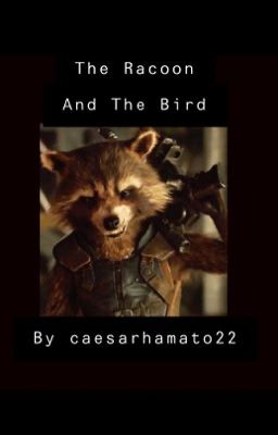 The Raccoon and The Bird {Rocket X Reader}