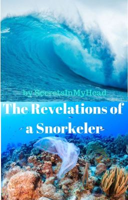 The Revelations of a Snorkeler