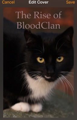 The Rise of BloodClan 