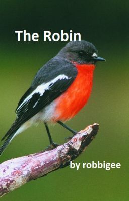 The Robin (a poem)