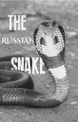 The Russian Snake (An Avengers Fanfiction) 