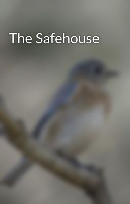 The Safehouse