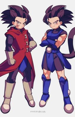 The Saiyan Twins (Versão PT-BR)