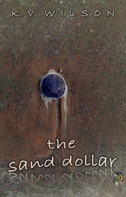 The Sand Dollar [National Geographic's #PlanetOrPlastic]