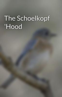 The Schoelkopf 'Hood