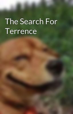 The Search For Terrence