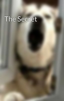 The Secret 