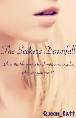 The Seeker's Downfall