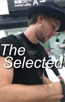 The Selected | Cashton [DISCONTINUED]