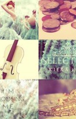 The Selection - Fanfiction