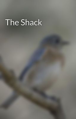 The Shack