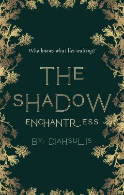 The Shadow Enchantress