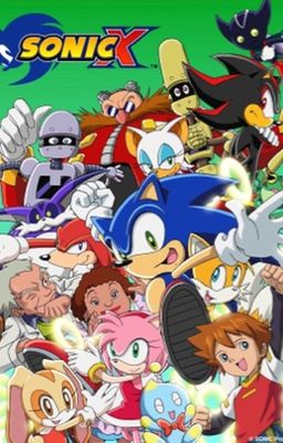 The Shard-Verse [Female Sonic Harem X Male Reader]