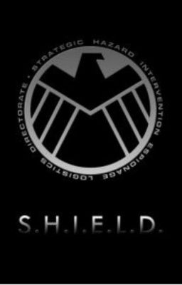 THE SHIELD ACADEMY  