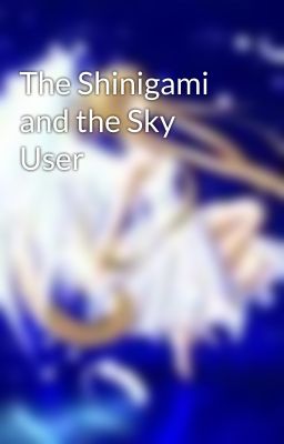 The Shinigami and the Sky User