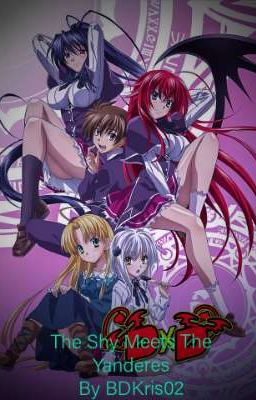 The Shy Meets The Yanderes (Yandere DXD Harem x Male Shy Reader)