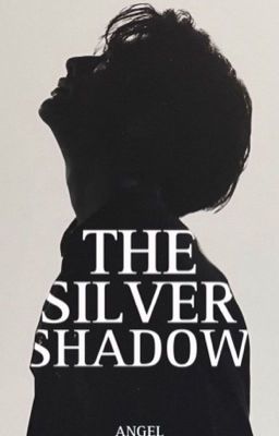 The Silver Shadow || SKZ