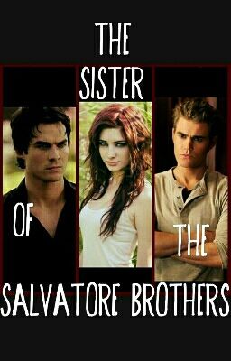 The sister of the Salvatore brothers (Vampire Diaries FF) *PAUSIERT*