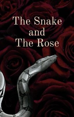 The snake and the rose (Draco Malfoy)