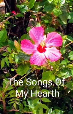 ✧*。The Songs Of My Hearth (OS Song) ｡*♡