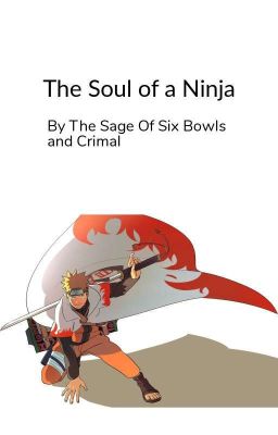 The Soul of a Ninja