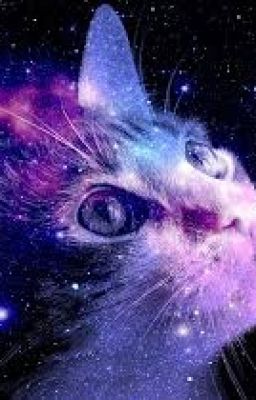 The Space Cat Has Yet To Be Named