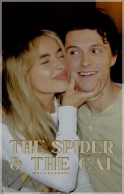 THE SPIDER & THE CAT ━━ tom holland